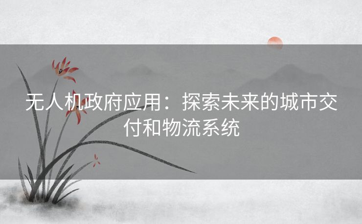 无人机政府应用：探索未来的城市交付和物流系统