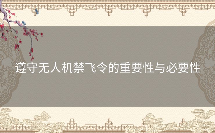 遵守无人机禁飞令的重要性与必要性