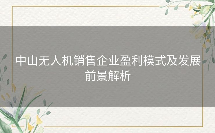 中山无人机销售企业盈利模式及发展前景解析