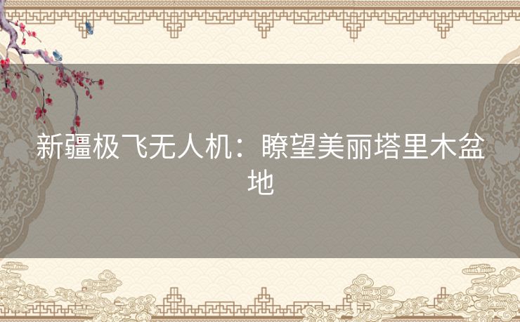 新疆极飞无人机：瞭望美丽塔里木盆地