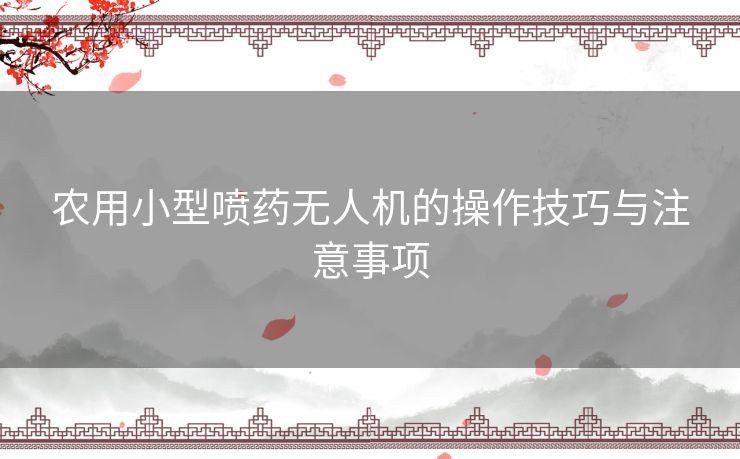 农用小型喷药无人机的操作技巧与注意事项