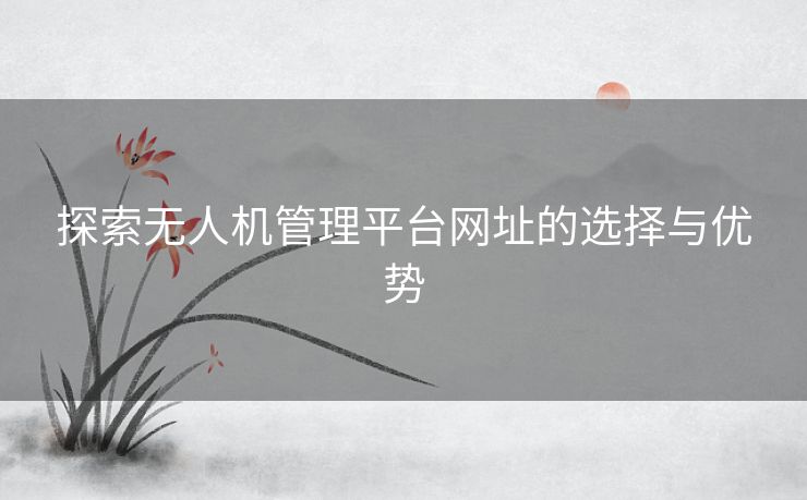探索无人机管理平台网址的选择与优势