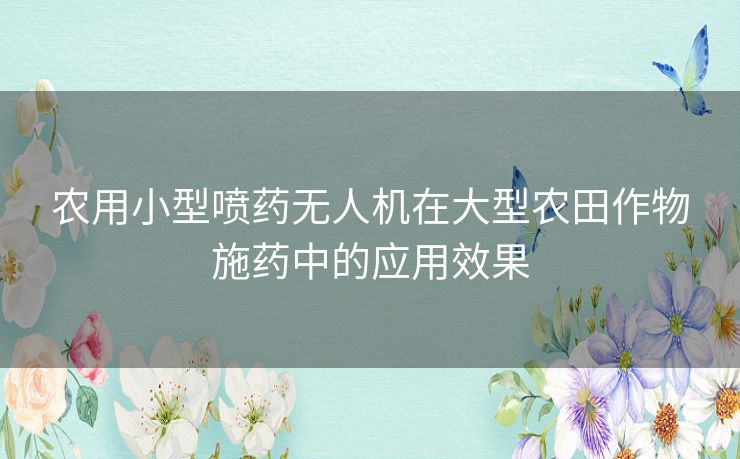 农用小型喷药无人机在大型农田作物施药中的应用效果