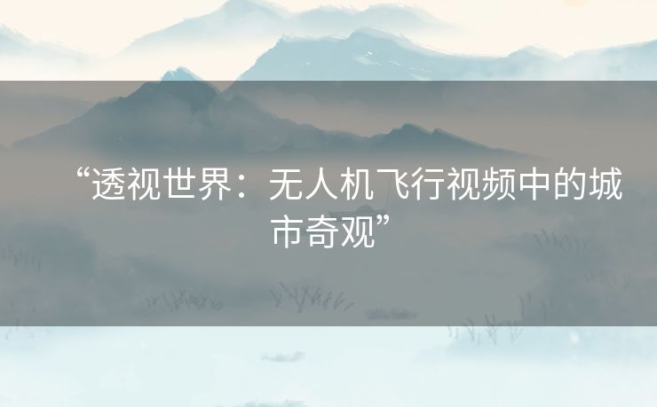 “透视世界：无人机飞行视频中的城市奇观”