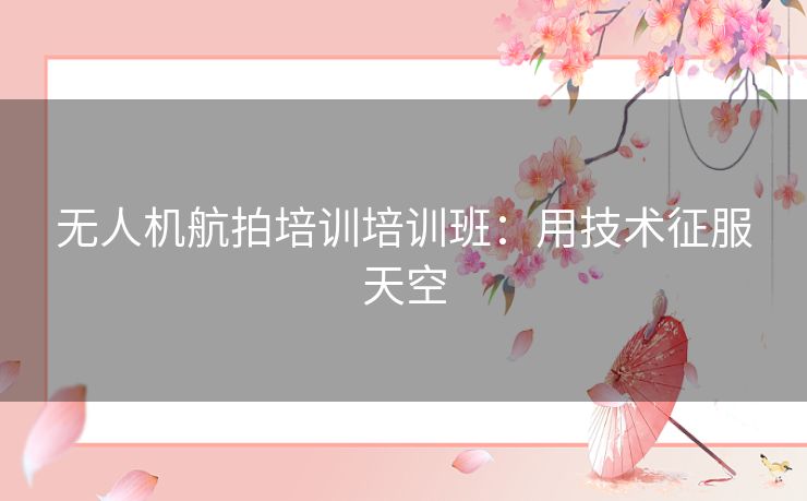 无人机航拍培训培训班：用技术征服天空