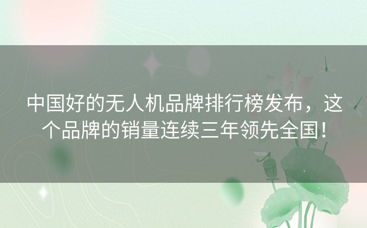 中国好的无人机品牌排行榜发布，这个品牌的销量连续三年领先全国！
