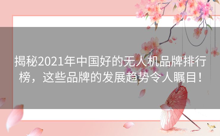 揭秘2021年中国好的无人机品牌排行榜，这些品牌的发展趋势令人瞩目！