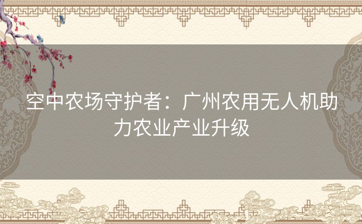 空中农场守护者：广州农用无人机助力农业产业升级