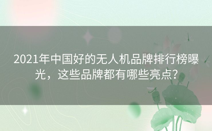 2021年中国好的无人机品牌排行榜曝光，这些品牌都有哪些亮点？