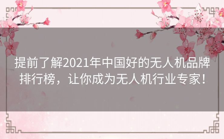 提前了解2021年中国好的无人机品牌排行榜，让你成为无人机行业专家！