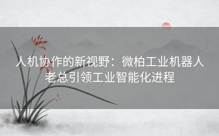 人机协作的新视野：微柏工业机器人老总引领工业智能化进程