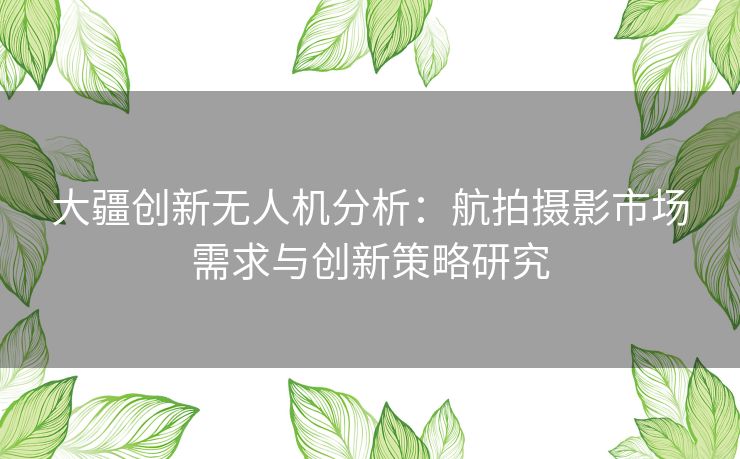大疆创新无人机分析：航拍摄影市场需求与创新策略研究