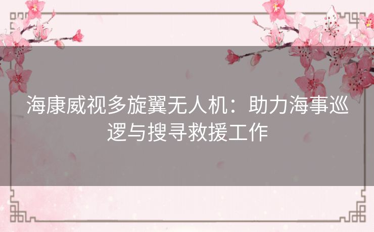 海康威视多旋翼无人机：助力海事巡逻与搜寻救援工作