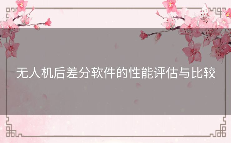 无人机后差分软件的性能评估与比较