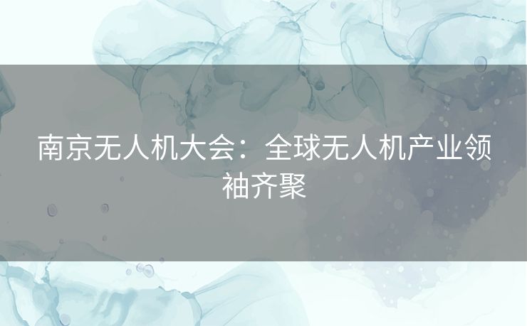 南京无人机大会：全球无人机产业领袖齐聚