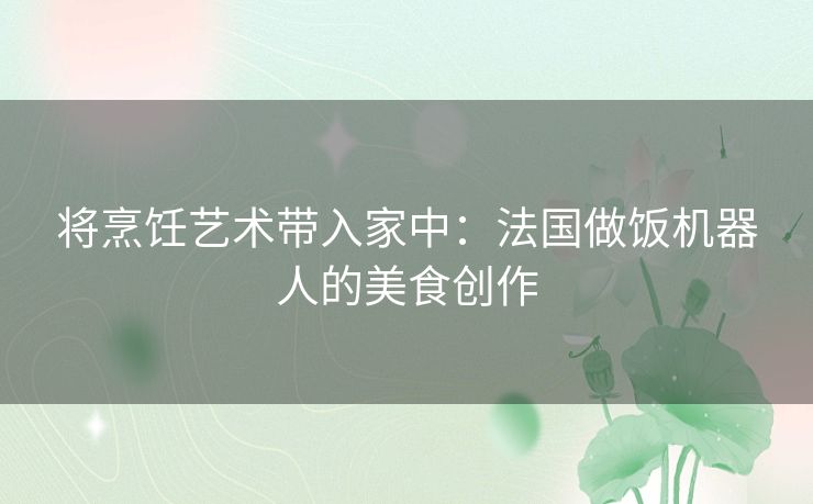 将烹饪艺术带入家中：法国做饭机器人的美食创作