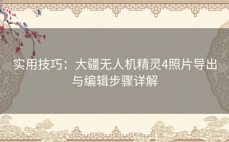 实用技巧：大疆无人机精灵4照片导出与编辑步骤详解