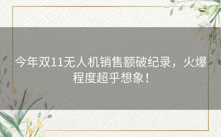 今年双11无人机销售额破纪录，火爆程度超乎想象！