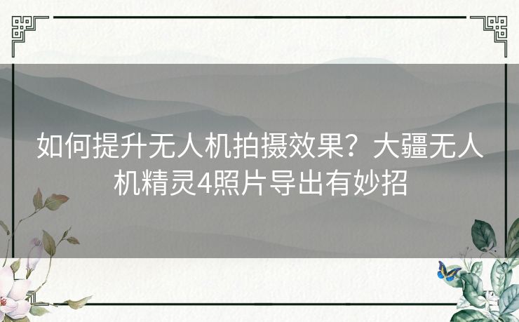 如何提升无人机拍摄效果？大疆无人机精灵4照片导出有妙招