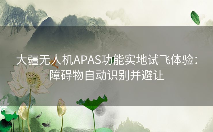 大疆无人机APAS功能实地试飞体验：障碍物自动识别并避让