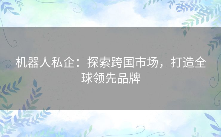 机器人私企：探索跨国市场，打造全球领先品牌