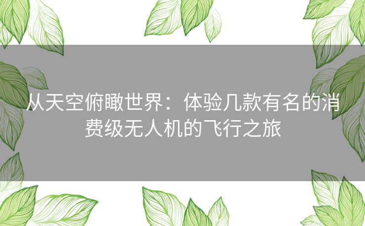 从天空俯瞰世界：体验几款有名的消费级无人机的飞行之旅