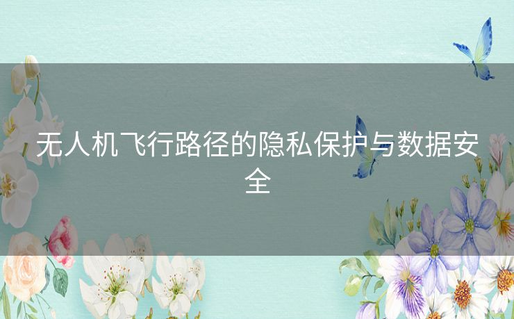 无人机飞行路径的隐私保护与数据安全