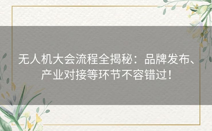 无人机大会流程全揭秘：品牌发布、产业对接等环节不容错过！