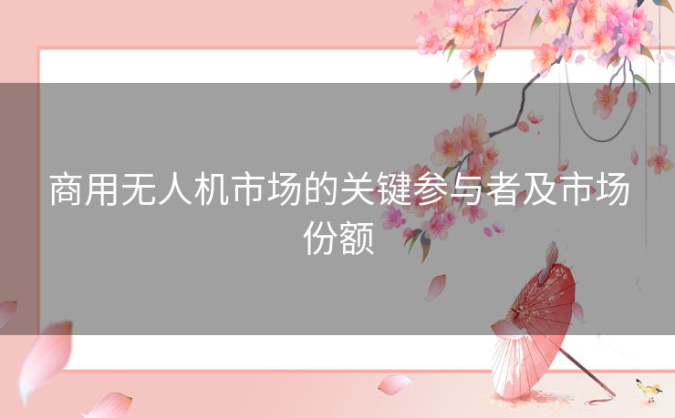 商用无人机市场的关键参与者及市场份额