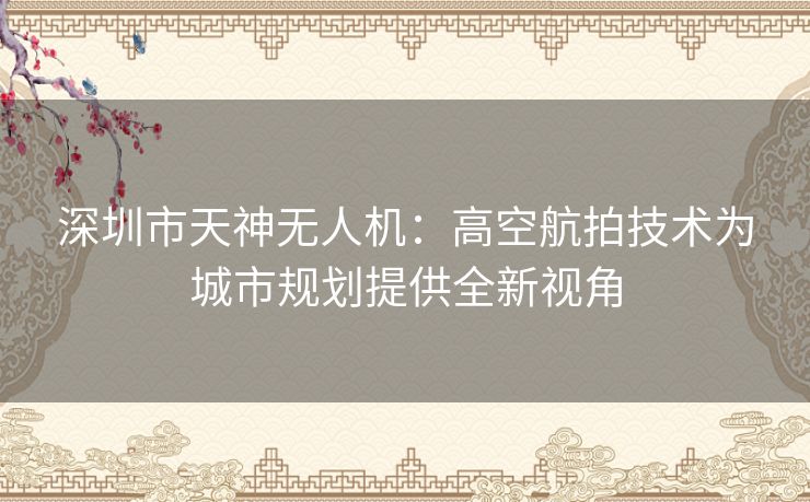 深圳市天神无人机：高空航拍技术为城市规划提供全新视角