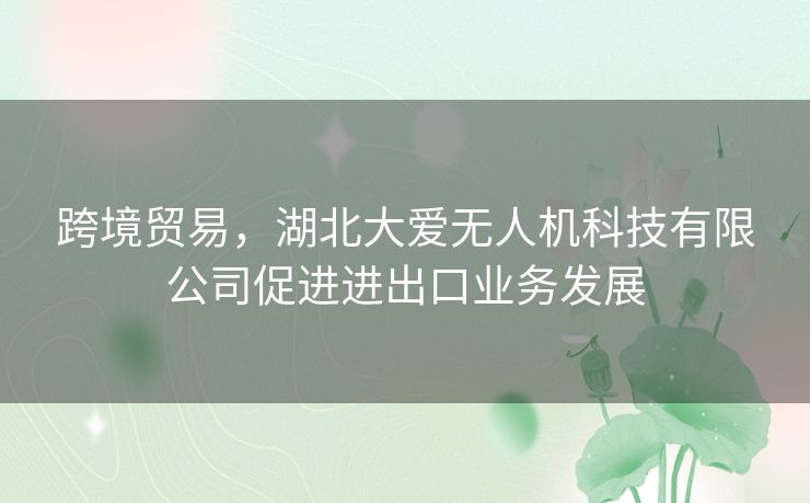 跨境贸易，湖北大爱无人机科技有限公司促进进出口业务发展