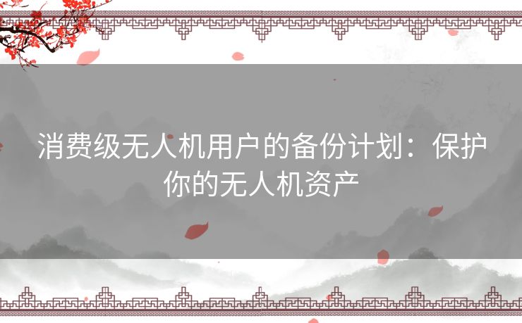 消费级无人机用户的备份计划：保护你的无人机资产