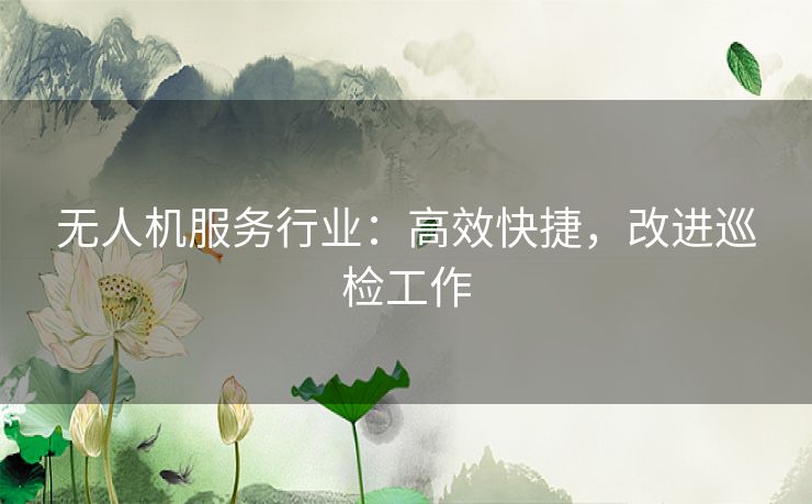 无人机服务行业：高效快捷，改进巡检工作