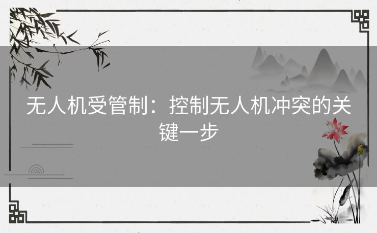 无人机受管制：控制无人机冲突的关键一步