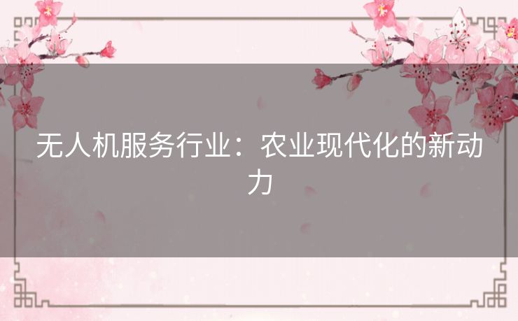 无人机服务行业：农业现代化的新动力