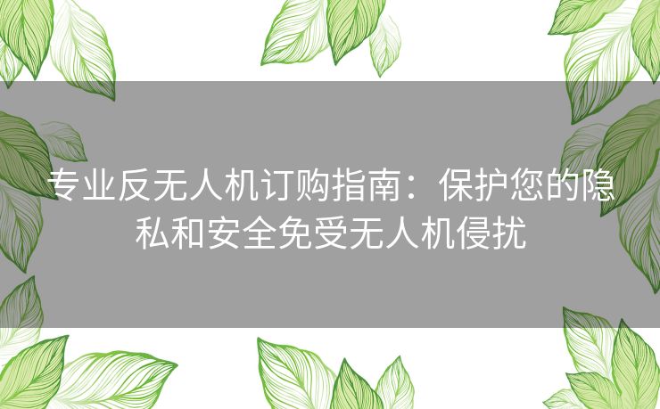专业反无人机订购指南：保护您的隐私和安全免受无人机侵扰