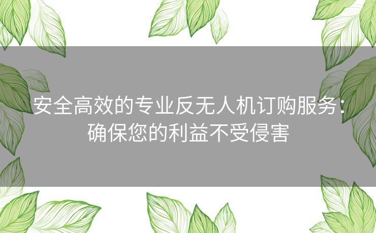 安全高效的专业反无人机订购服务：确保您的利益不受侵害