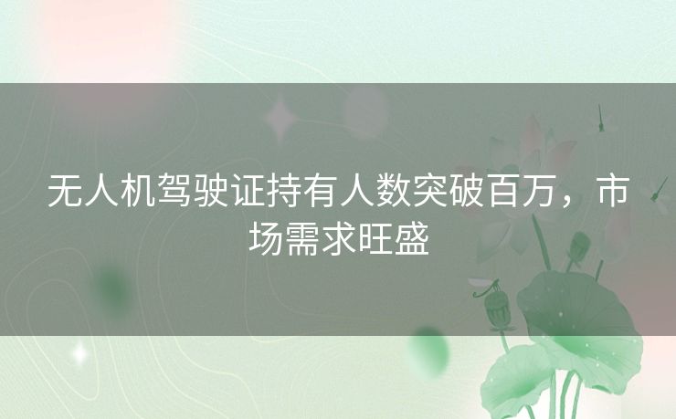 无人机驾驶证持有人数突破百万，市场需求旺盛