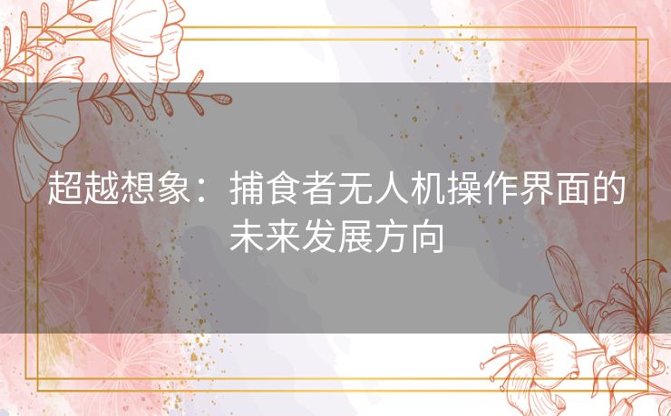 超越想象：捕食者无人机操作界面的未来发展方向