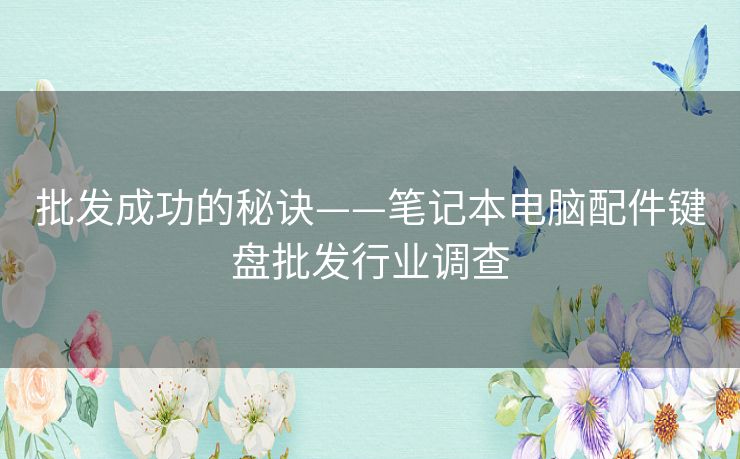 批发成功的秘诀——笔记本电脑配件键盘批发行业调查