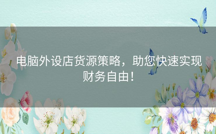 电脑外设店货源策略，助您快速实现财务自由！