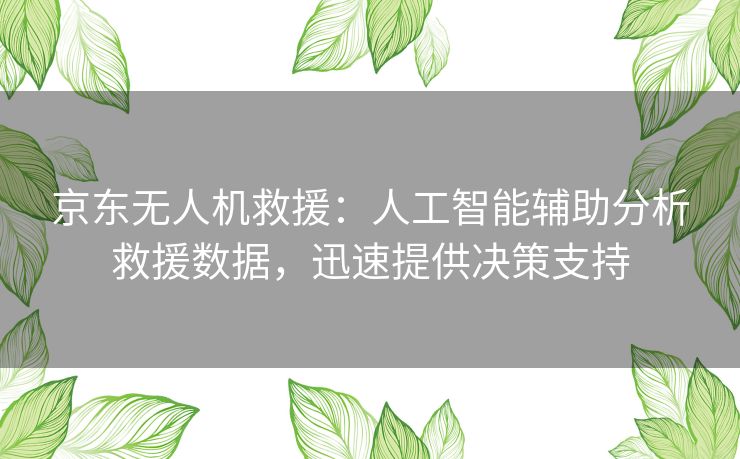京东无人机救援：人工智能辅助分析救援数据，迅速提供决策支持