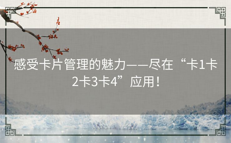感受卡片管理的魅力——尽在“卡1卡2卡3卡4”应用！