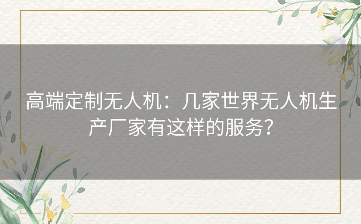 高端定制无人机：几家世界无人机生产厂家有这样的服务？