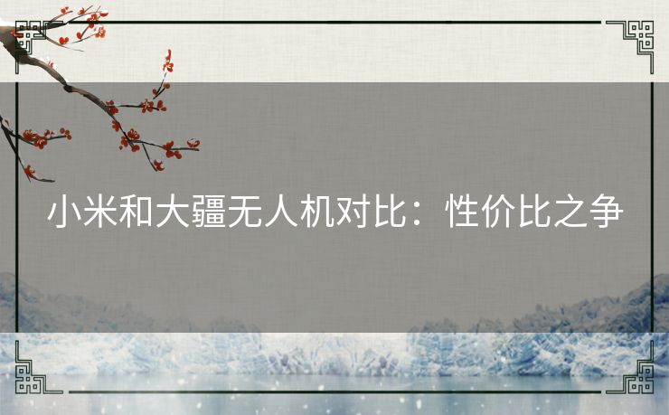小米和大疆无人机对比：性价比之争