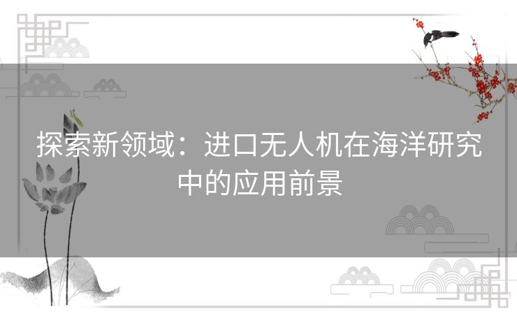 探索新领域：进口无人机在海洋研究中的应用前景