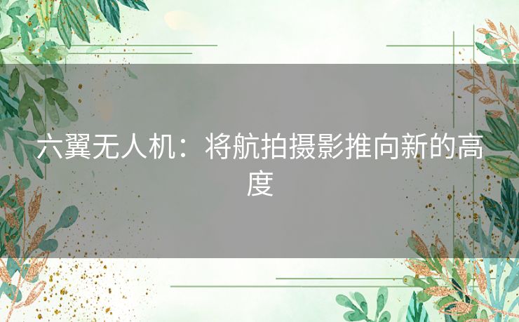 六翼无人机：将航拍摄影推向新的高度