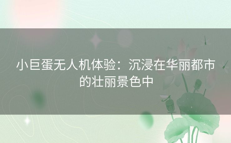 小巨蛋无人机体验：沉浸在华丽都市的壮丽景色中