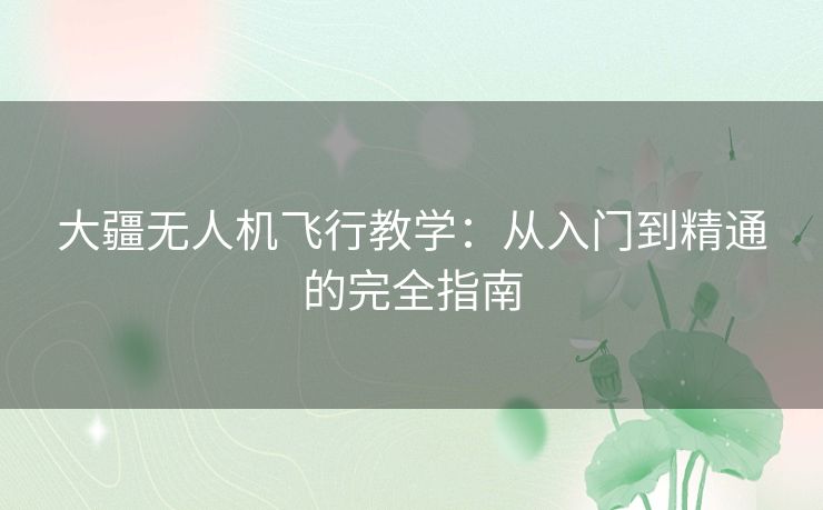 大疆无人机飞行教学：从入门到精通的完全指南