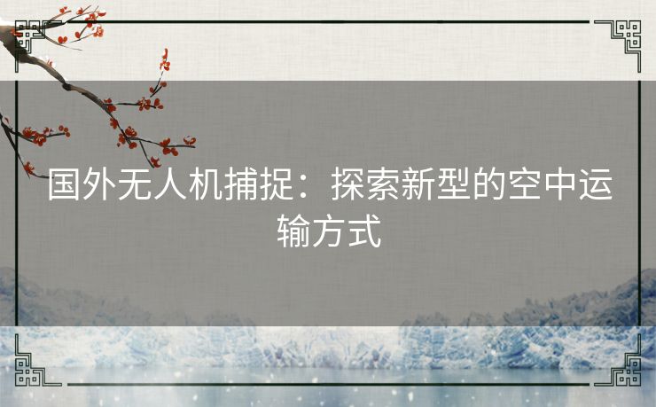 国外无人机捕捉：探索新型的空中运输方式